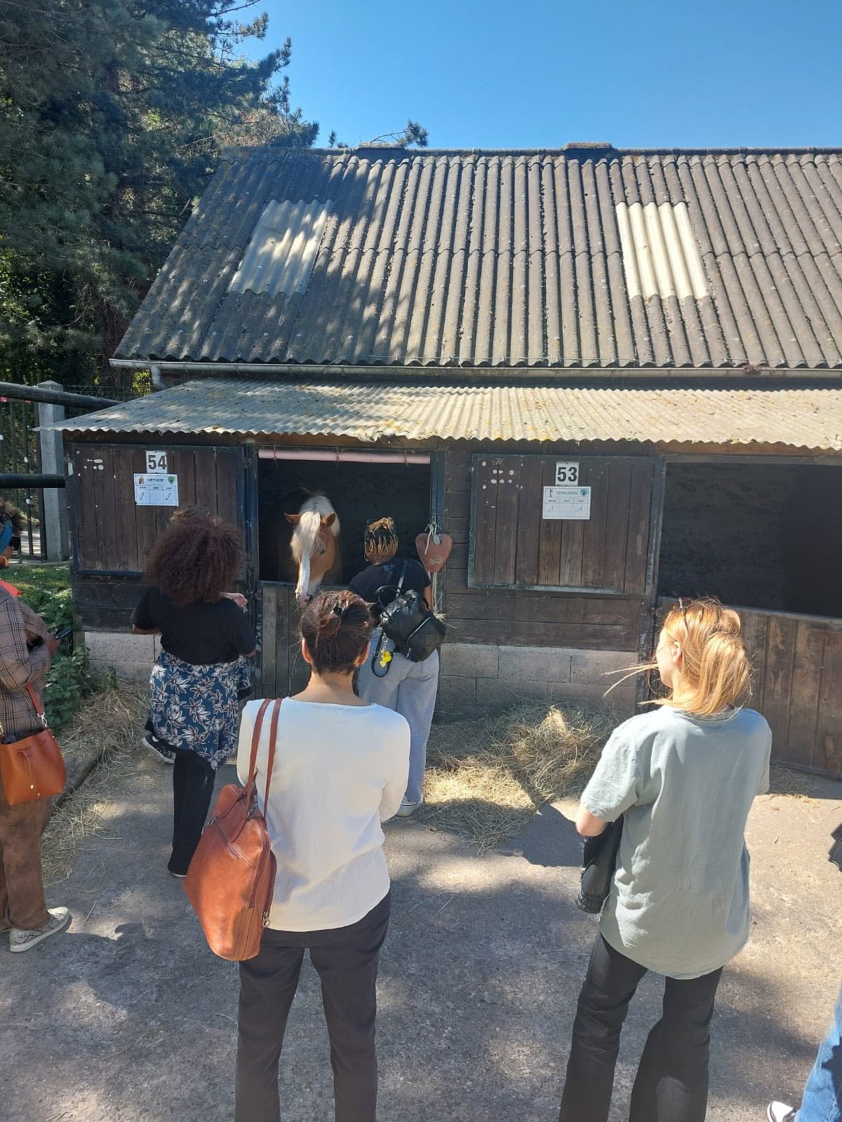 ADIFED community activity